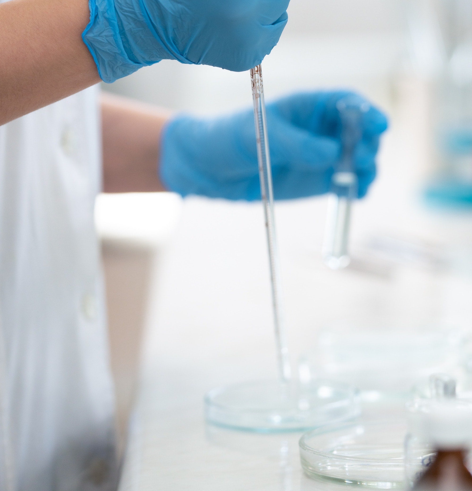 Laboratory Technician Works on Water Sample Petri Dish